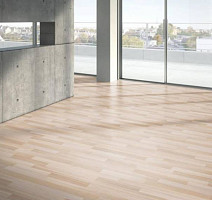 Parador Basic Plus 200 1426399 Ясень Шлифованный фото 2 | FLOORDEALER